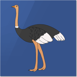 Ostrich Posters and Art